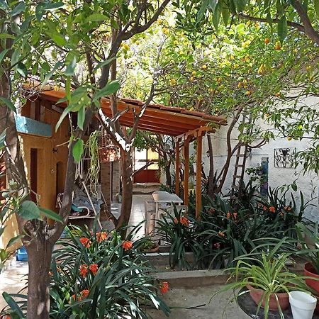 Aegina Town Traditional Lemon House Ngoại thất bức ảnh